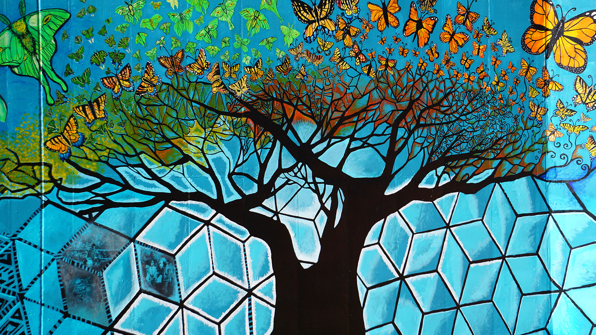 Art Therapy Masters Programs Online Degrees