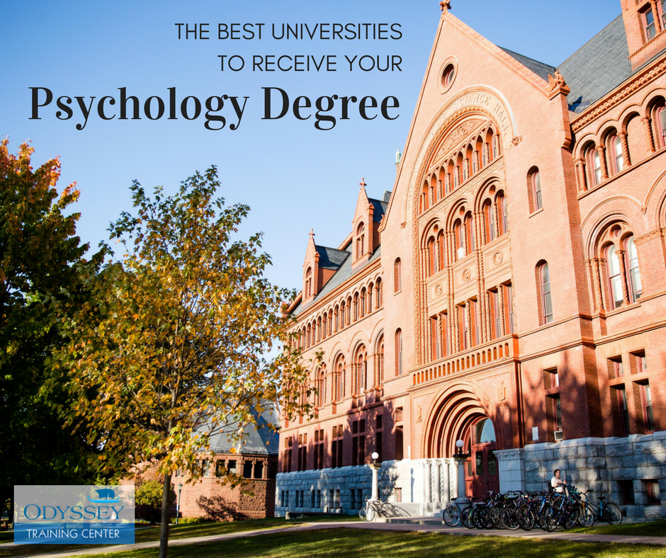 Top Universities for Counseling Psychology
