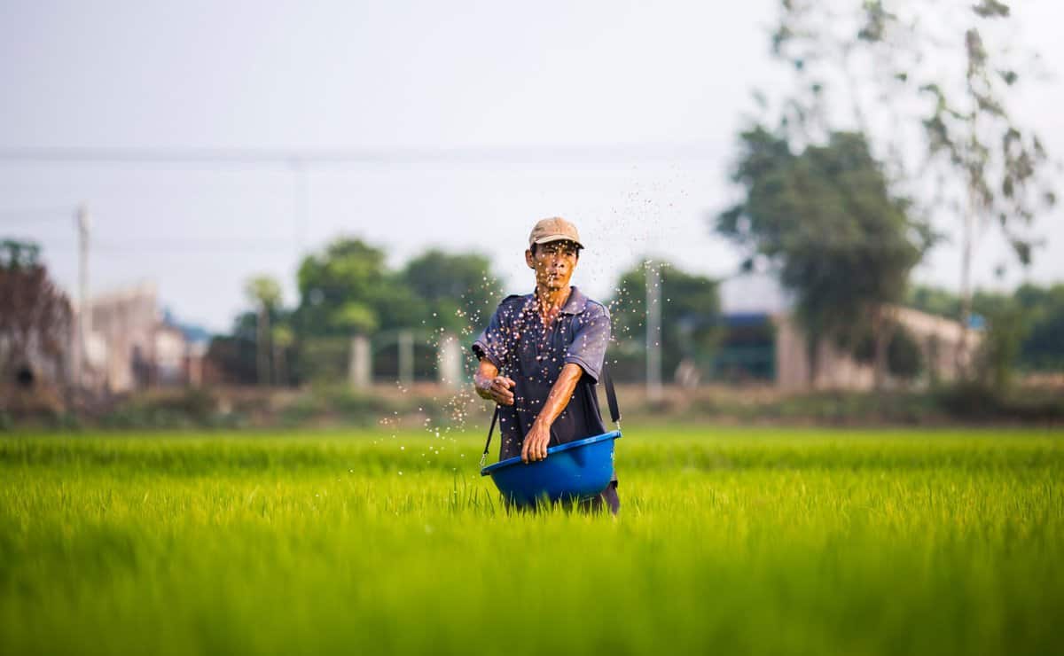 Bible Verse Guide: Sowing Righteousness