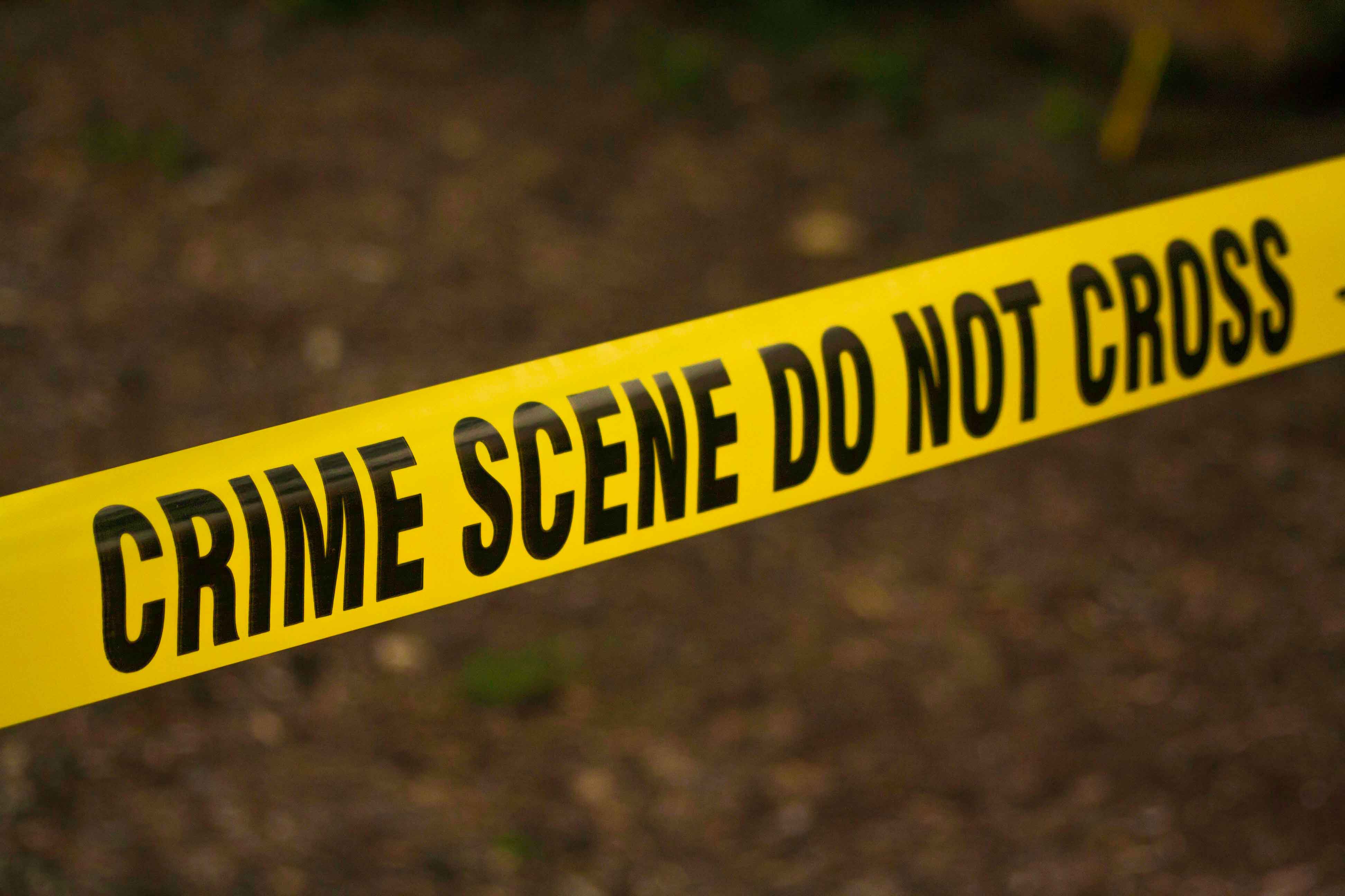 5 Free Criminology Courses