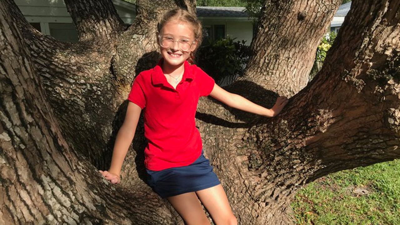 5 Ways Focus Parent Portal Manatee