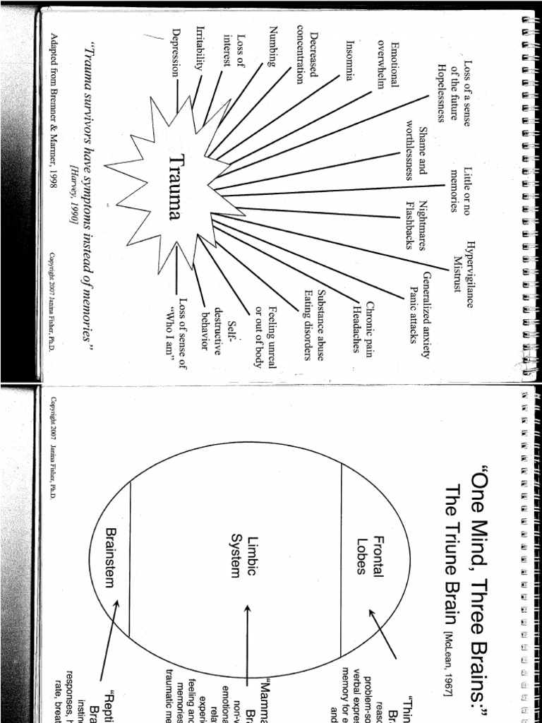 Janina Fisher Courses Janina Fisher Courses