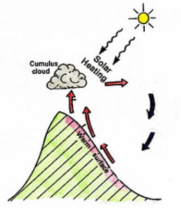 5 Local Winds