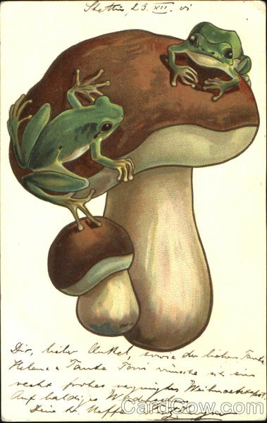 Mushrooms and Frogs Habitat Facts Mushrooms and Frogs Habitat Facts