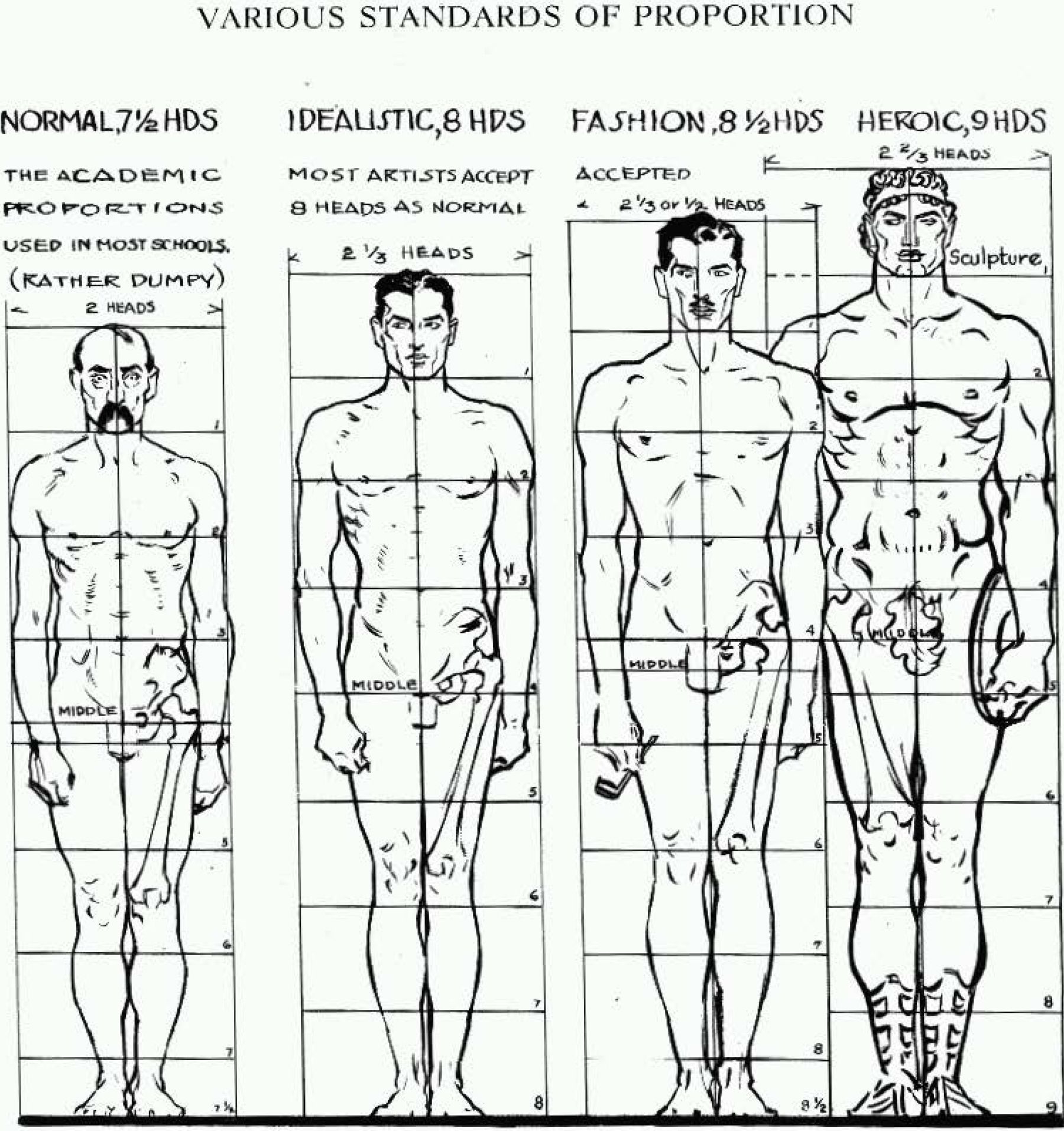 Proportions Of The Human Figure How To Draw The Human Figure In The Correct Proportions How Proportions Of The Human Figure How To Draw The Human Figure In The Correct Proportions How