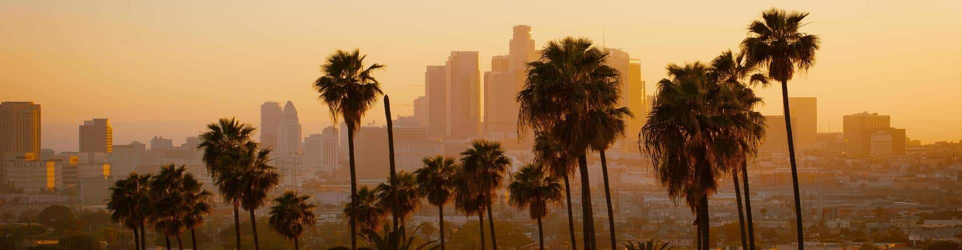 Psychedelic Therapy Los Angeles