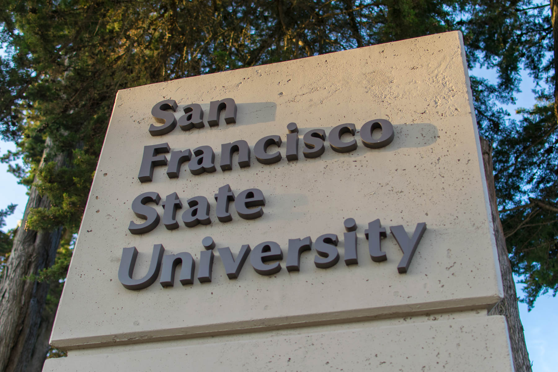 SFSU Colors Revealed