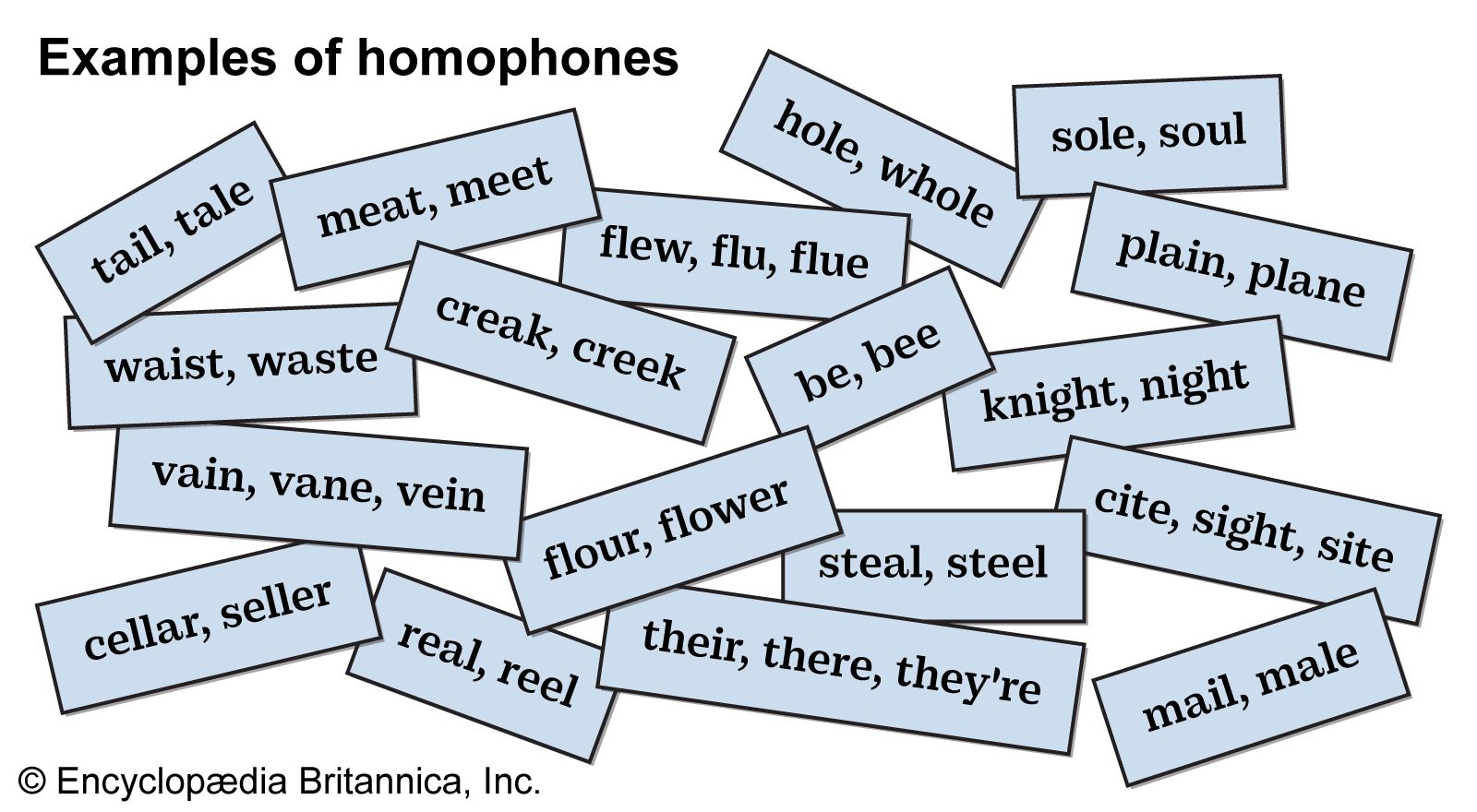Sophia Homophone City Guide