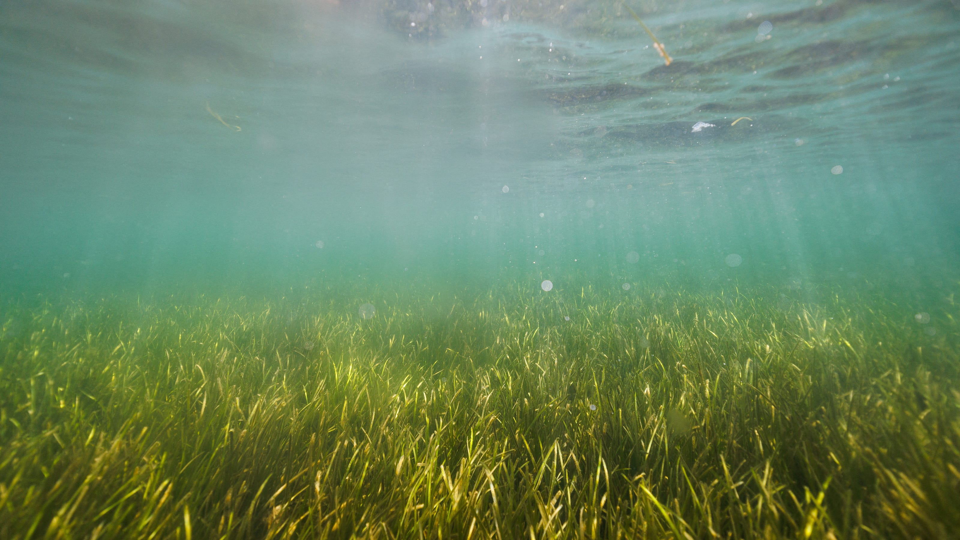 The Atlantic Ocean Cooling