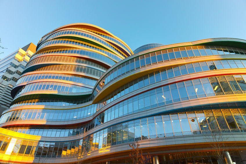 5 New School PhD Programs