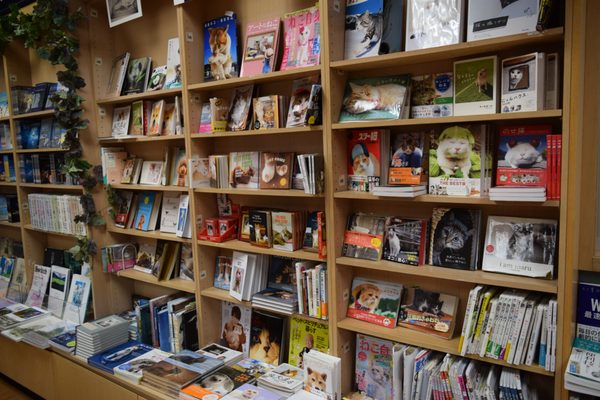 5 USF Bookstore Tips